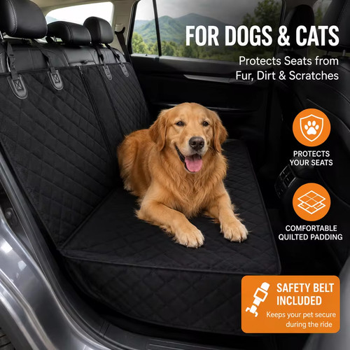 Dog car seat - dog, back