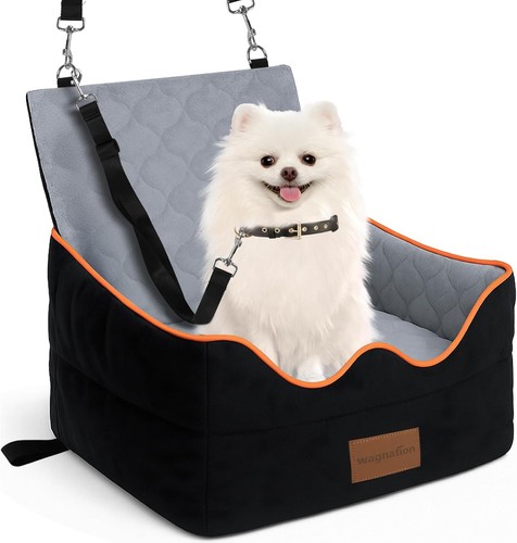 Elevated dog car - car, booster