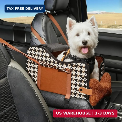 Center console dog - console, car